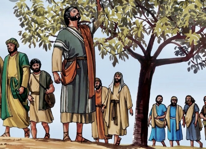 Rethinking my boyhood assessment that gospel picked on fig trees – The Monk